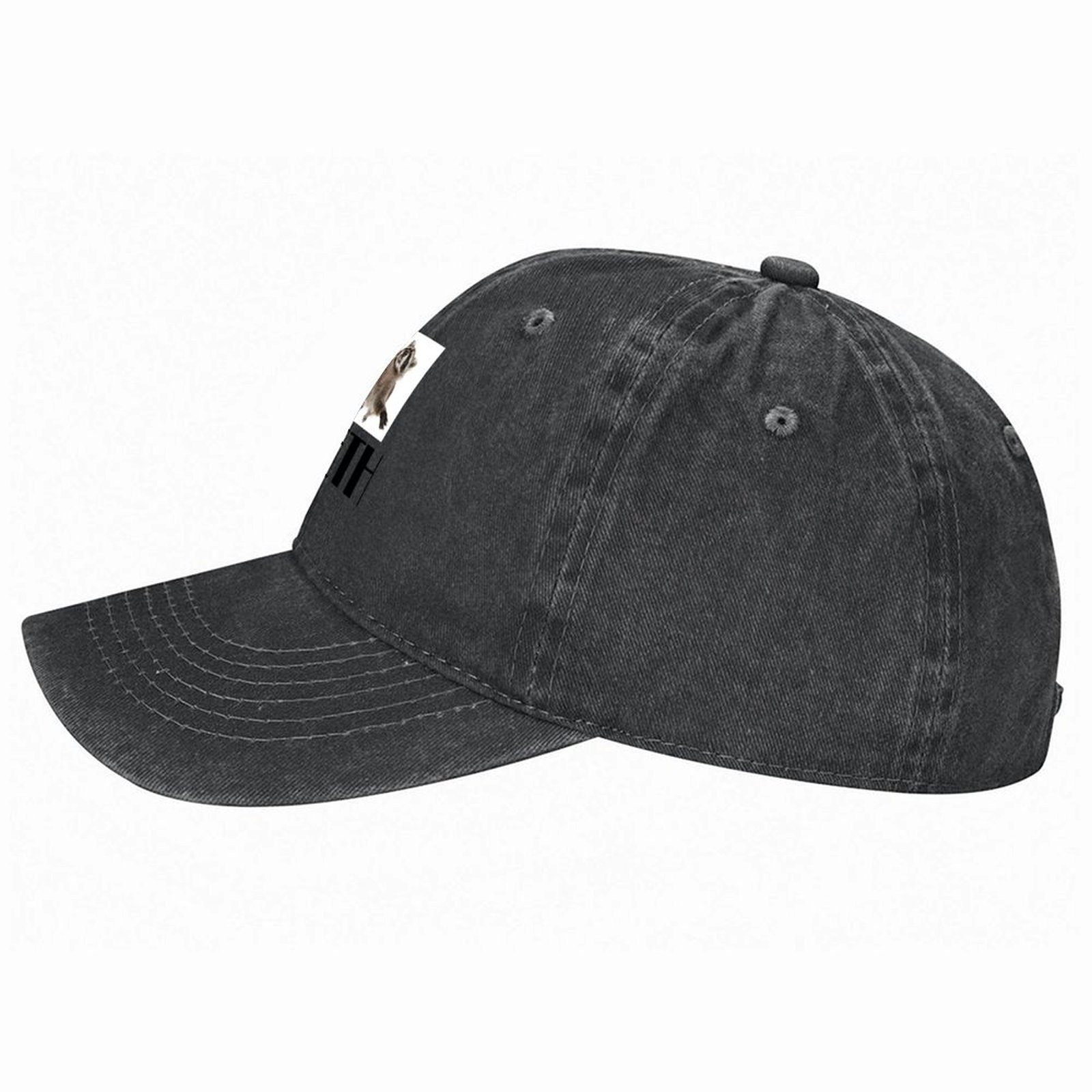 Meth raccoon Baseball Cap Luxu - Men'S Fashion Outlets incelemesi ve fiyatı
